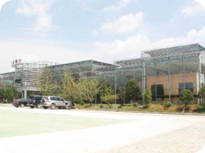 生態(tài)餐廳 生態(tài)餐廳