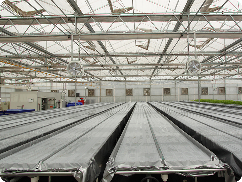 水肥一體化 水肥一體化